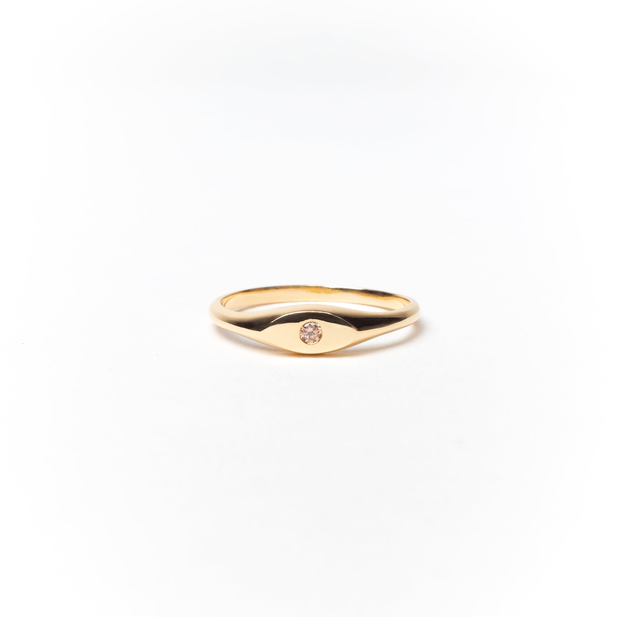 Birthstone Signet Ring, Solid 14k Gold (5275535474732)